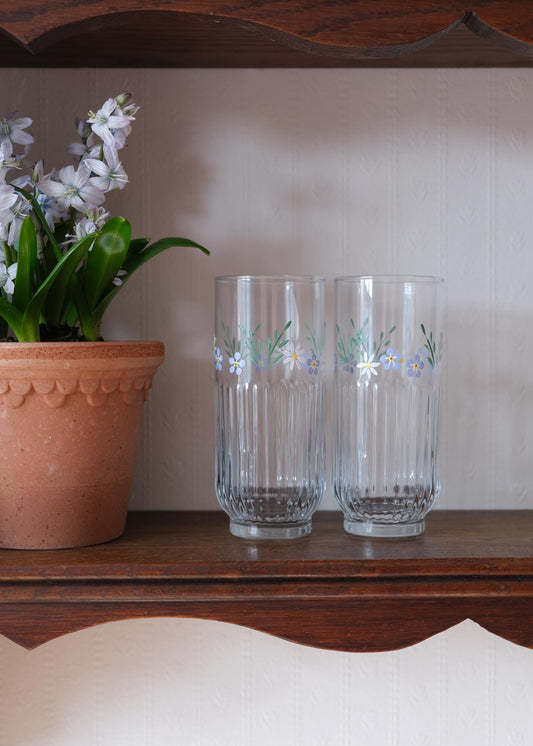 Forget me not & daisy ribbed highball glasses set of 2