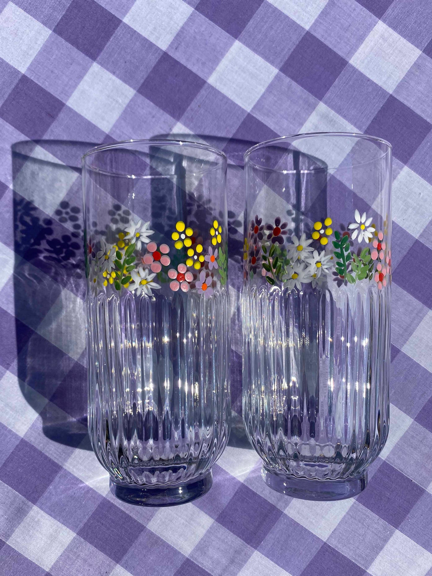 Wild flower ribbed highball glasses set of 2