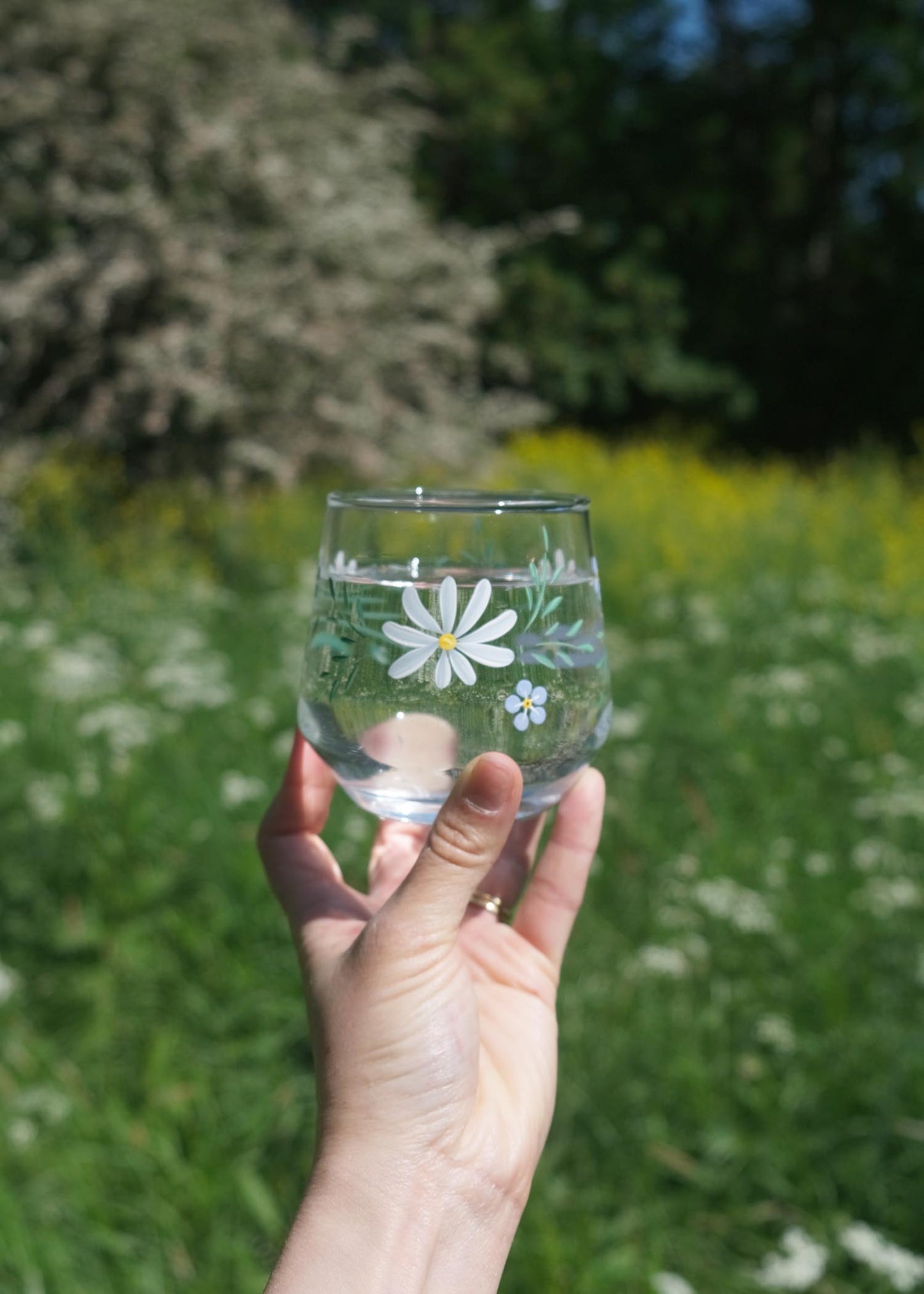 Forget me not & daisy glasses set of 2