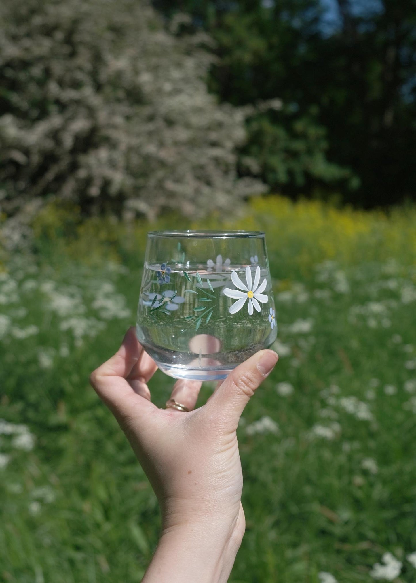 Forget me not & daisy glasses set of 2