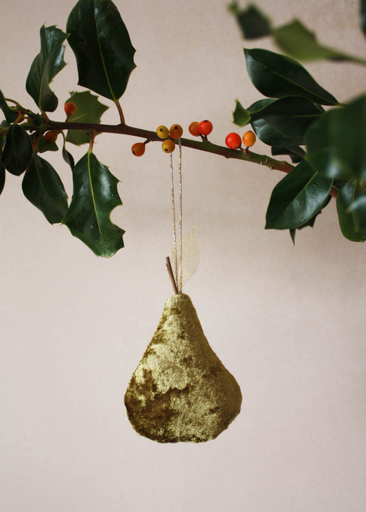 Magical velvet Pear