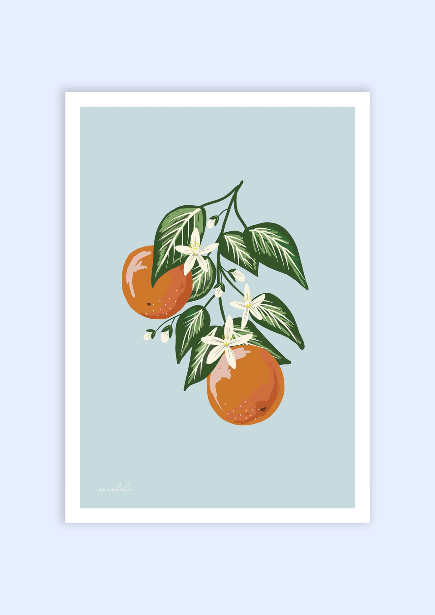 Orangecello print